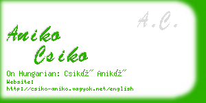 aniko csiko business card